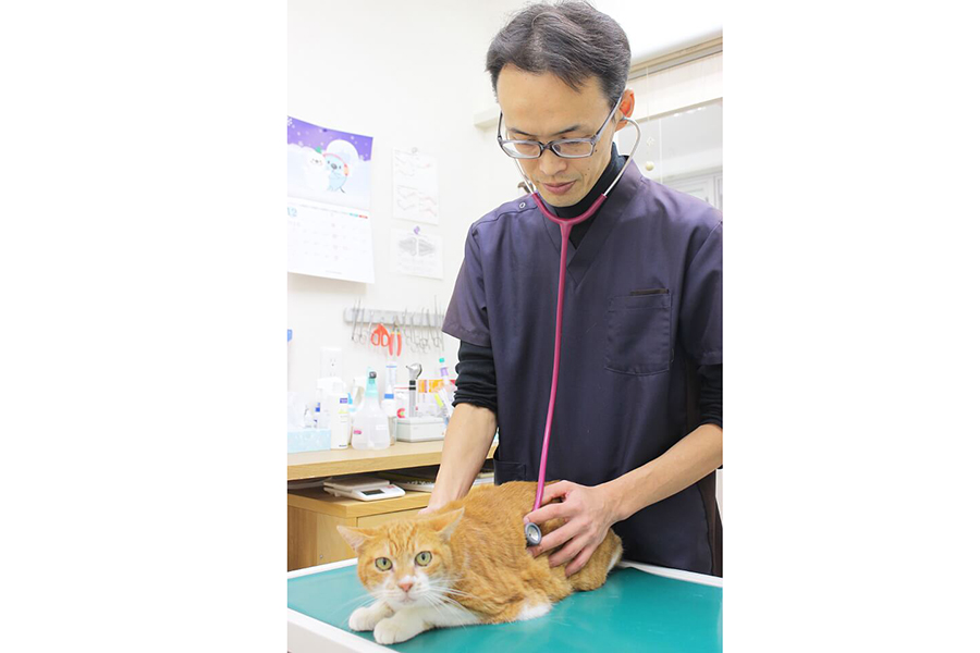 Caroどうぶつ病院 Caroどうぶつ病院