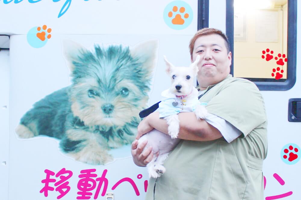 画像説明 画像説明