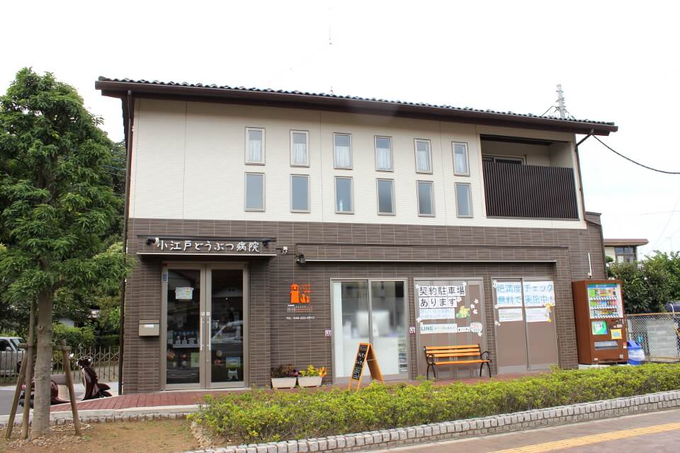 画像説明 画像説明