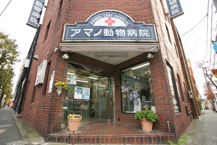 画像説明 画像説明