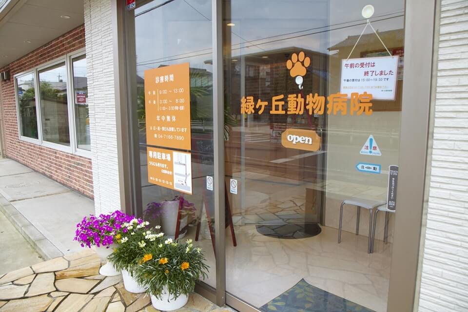 画像説明