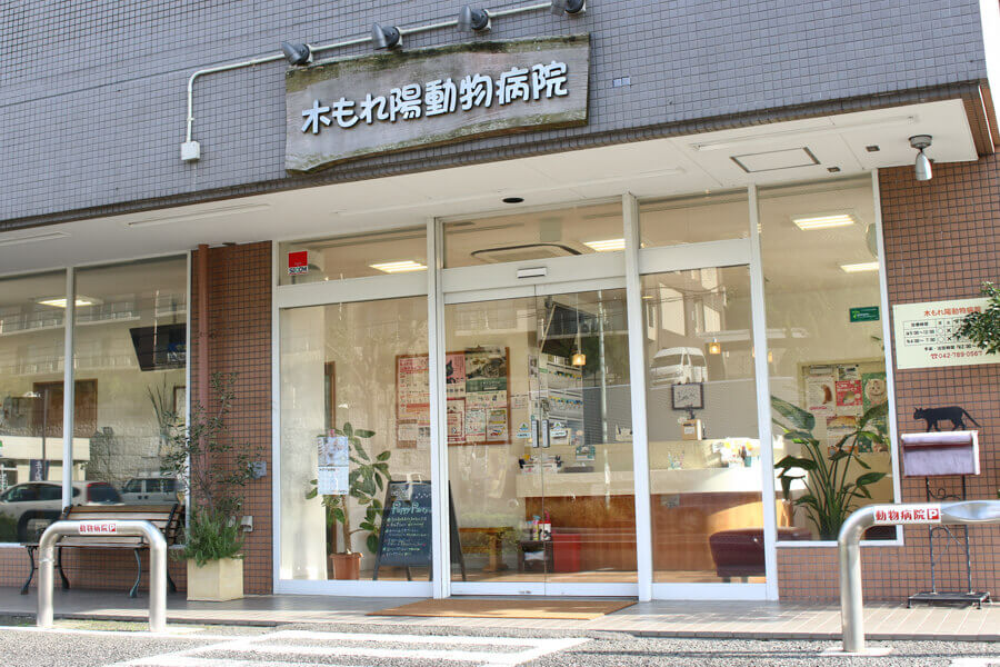 画像説明 画像説明