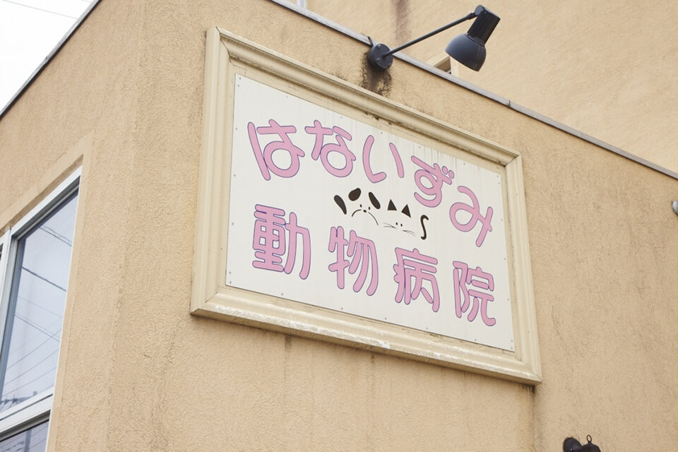 画像説明 画像説明