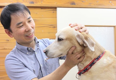 モモどうぶつ病院 モモどうぶつ病院