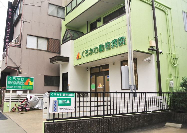 画像説明 画像説明