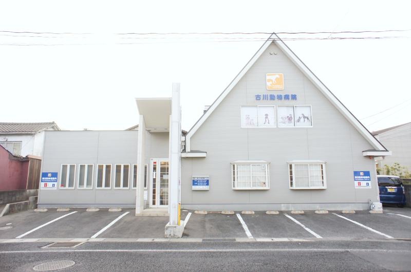 古川動物病院