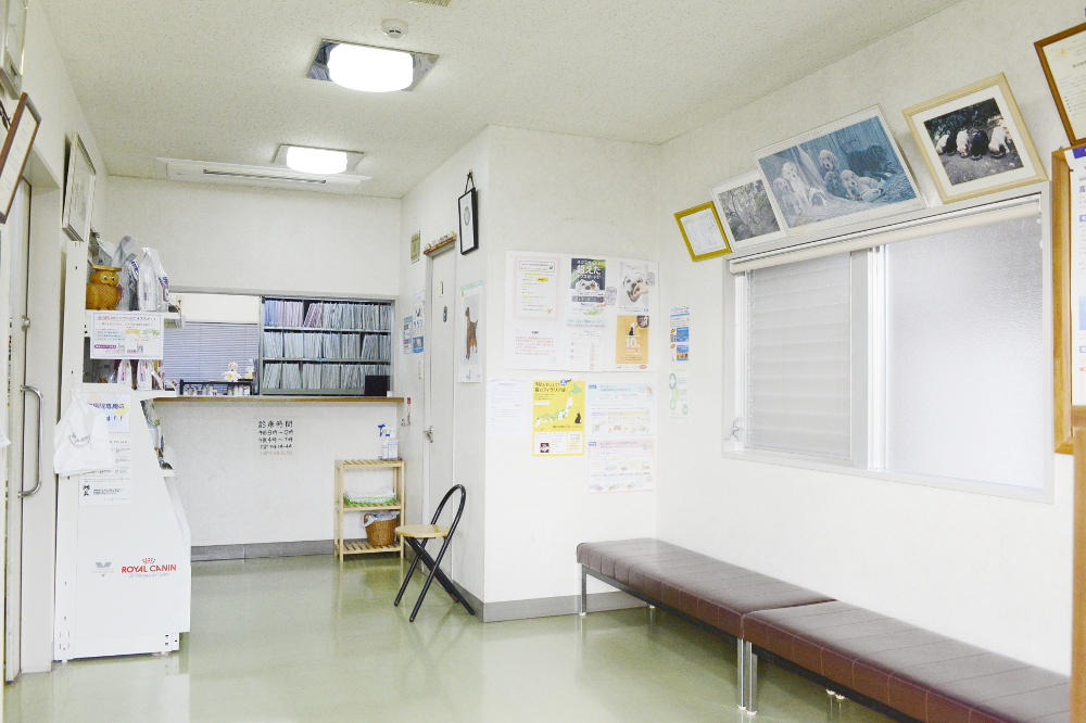 薮添動物病院 薮添動物病院