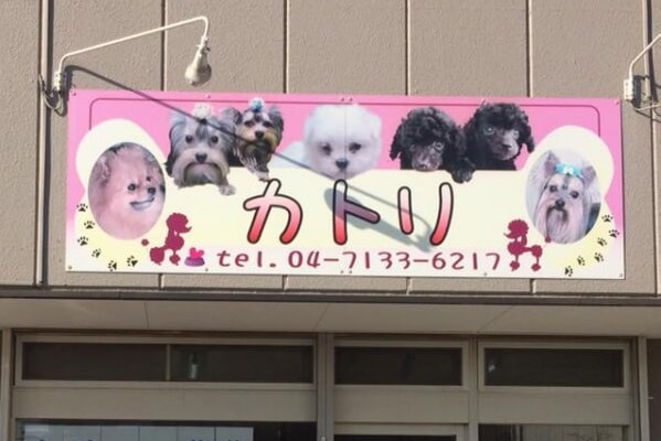 画像説明 画像説明