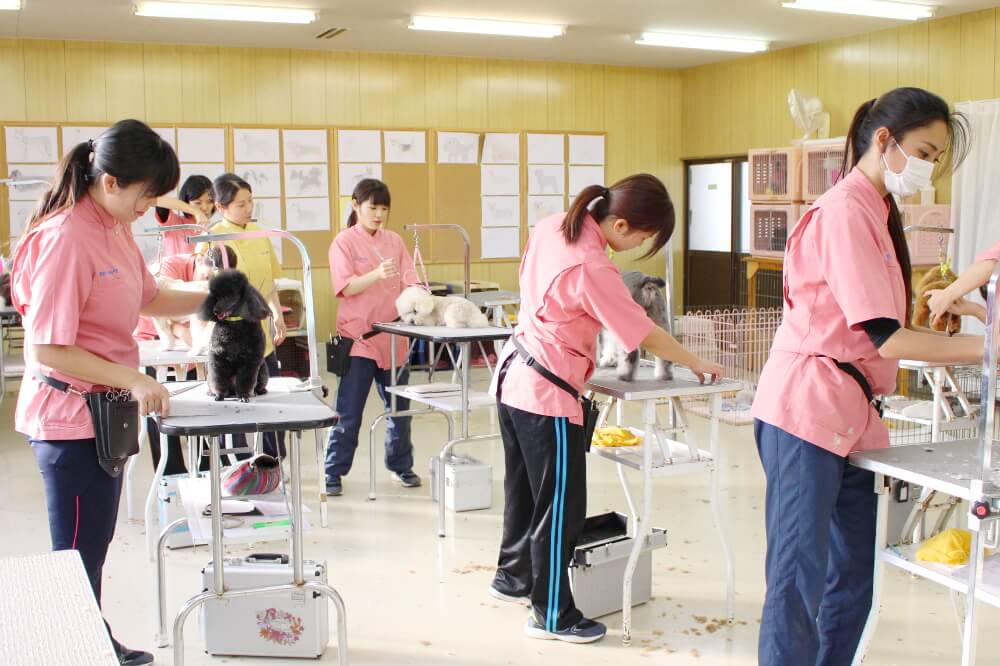 関空ペット総合学院