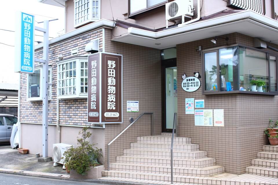 野田動物病院 野田動物病院