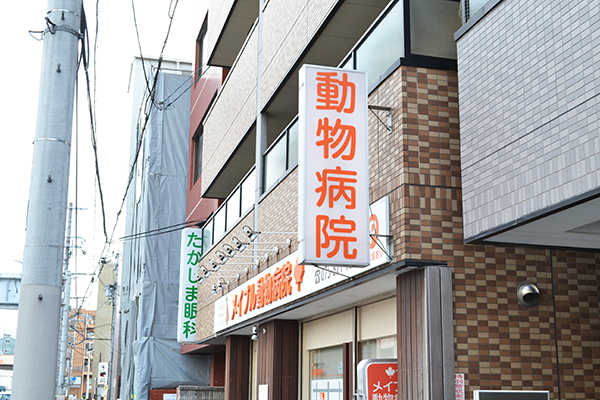 メイプル動物病院 メイプル動物病院