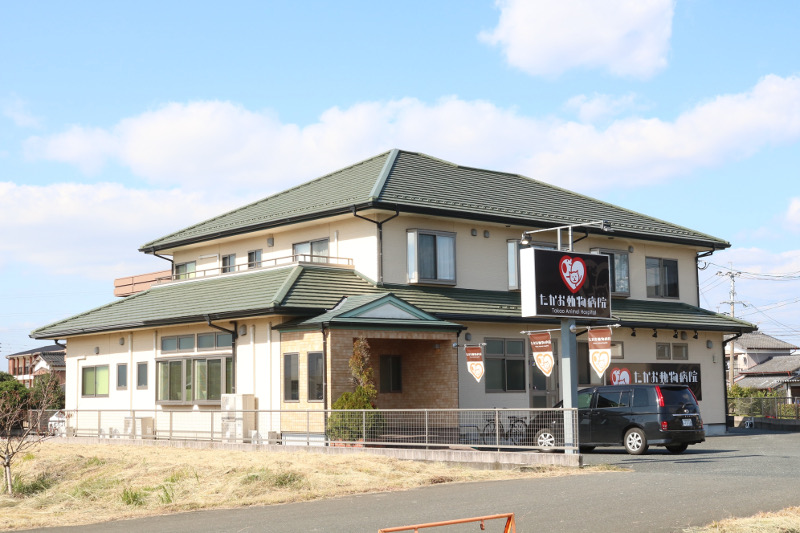 たかお動物病院 たかお動物病院