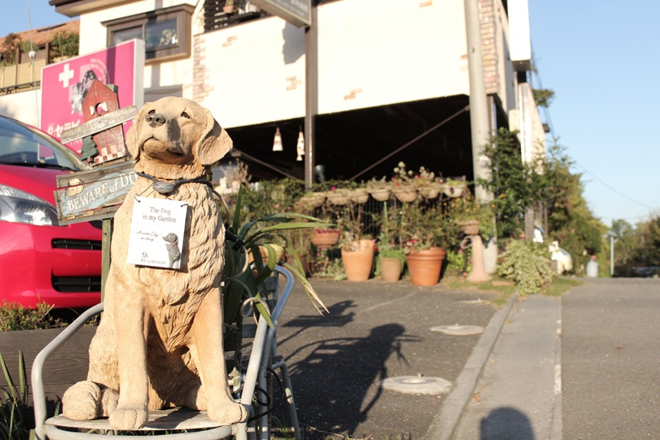 セラピー動物病院 セラピー動物病院