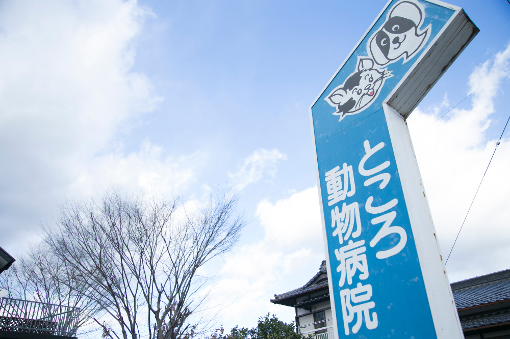 ところ動物病院 ところ動物病院