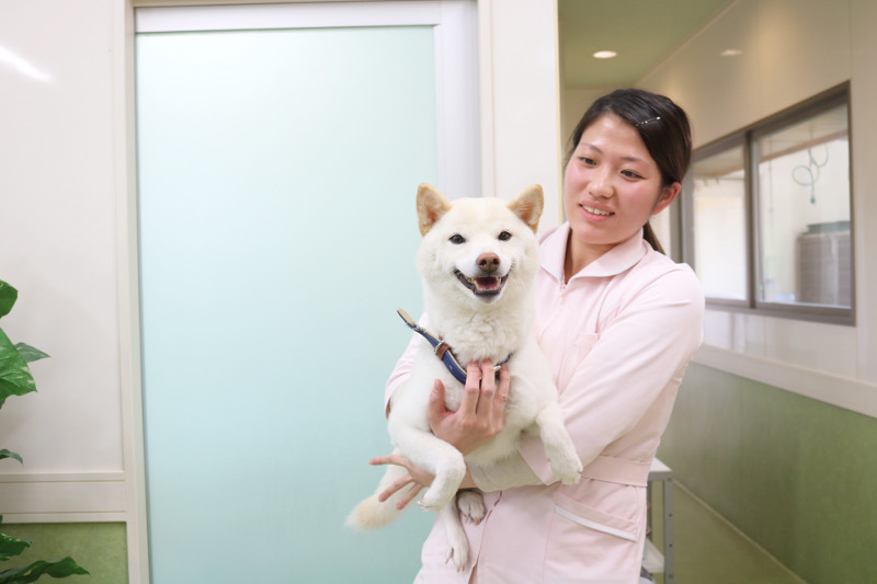 たかお動物病院 たかお動物病院