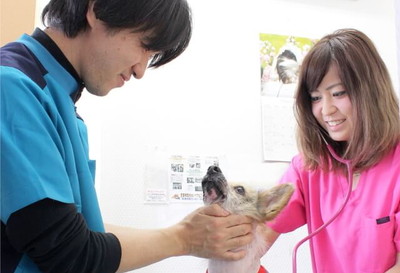 そよかぜ動物病院 北与野の外観 そよかぜ動物病院 北与野の外観