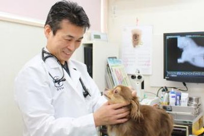 七里動物病院の診察 七里動物病院の診察