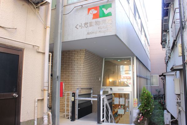 くらた動物病院 くらた動物病院