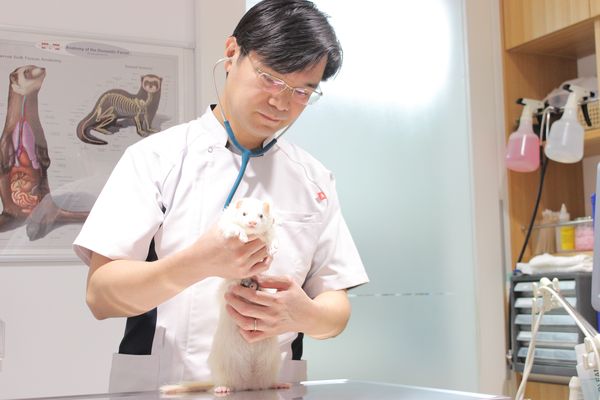 くらた動物病院 くらた動物病院