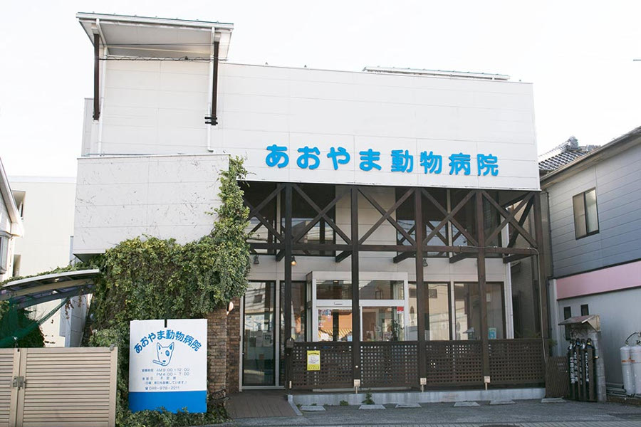 画像説明 画像説明