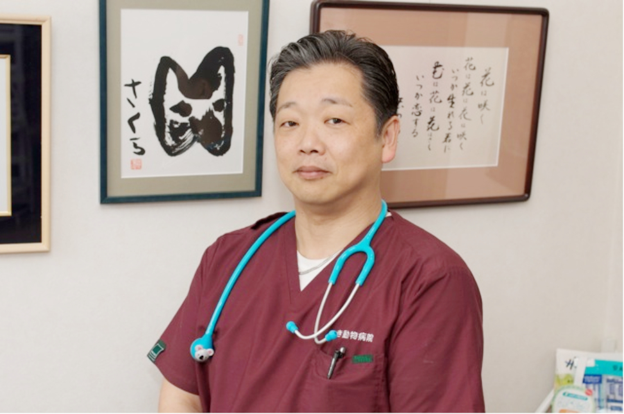 画像説明 画像説明