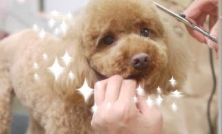 画像説明 画像説明