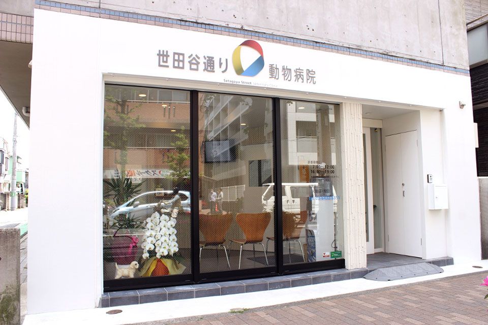 画像説明 画像説明
