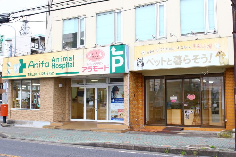 アニファ動物病院 柏病院 外観写真 アニファ動物病院 柏病院 外観写真
