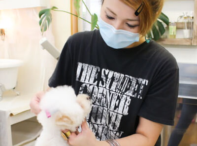 Dog Salon horo horoスタッフ写真 Dog Salon horo horoスタッフ写真