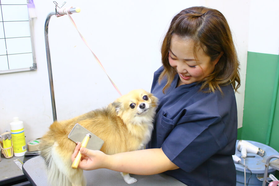 ペットサロン&ホテル美秀スタッフ写真 ペットサロン&ホテル美秀スタッフ写真