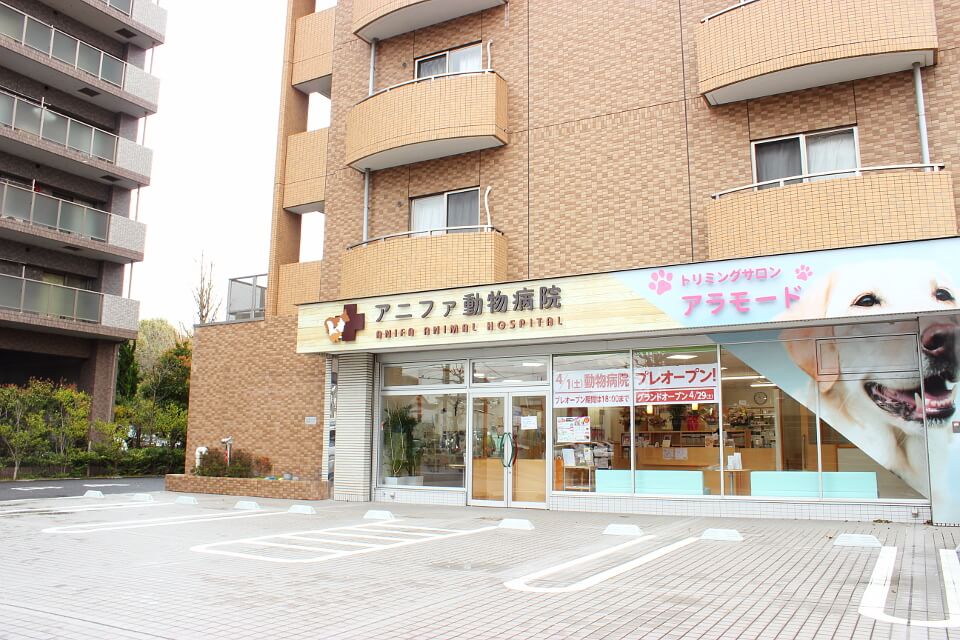 動物病院併設ならではの安心感が人気 動物病院併設ならではの安心感が人気