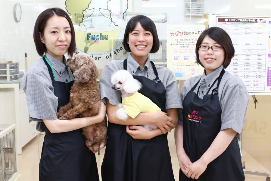 トウキョウワンク府中店