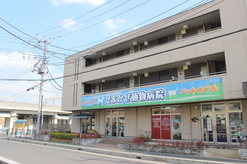 ペットサロンそよかぜ 南与野の外観 ペットサロンそよかぜ 南与野の外観
