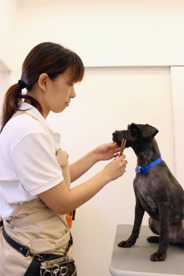 beSide -Pet Life Ichimo 与野-の店長 beSide -Pet Life Ichimo 与野-の店長