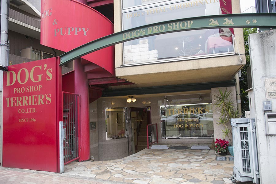 DOG's PRO SHOP TERRIER'S(テリアス)目黒店の外観 DOG's PRO SHOP TERRIER'S(テリアス)目黒店の外観