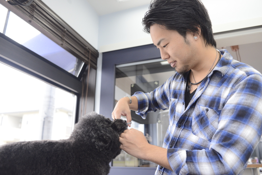 DogSalon BLUE STARのオーナー DogSalon BLUE STARのオーナー