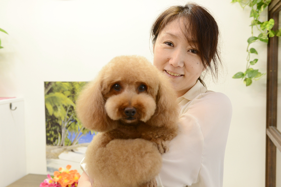 犬の美容室 すみっこのオーナー 犬の美容室 すみっこのオーナー