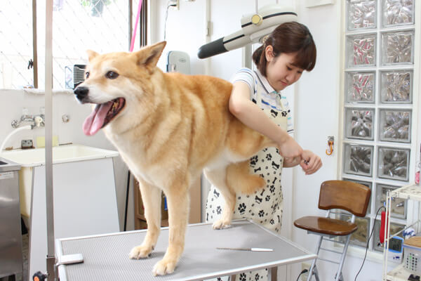 画像説明 画像説明