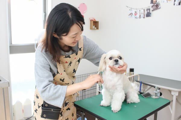 Dog Salon onelife