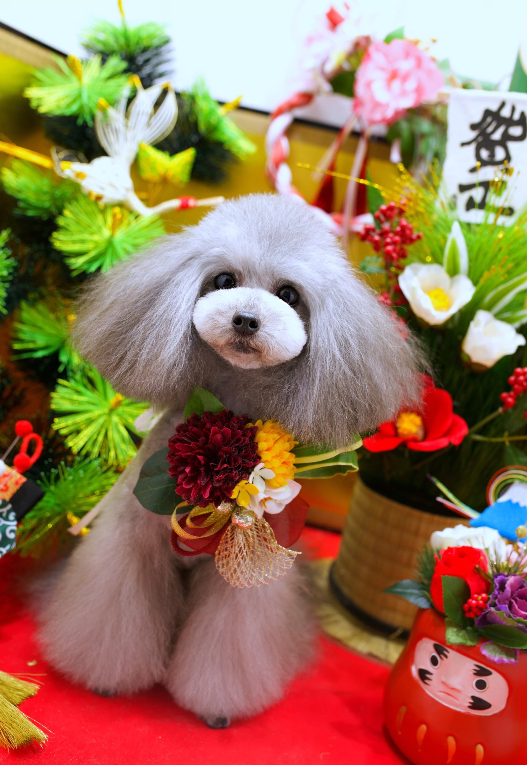 画像説明 画像説明