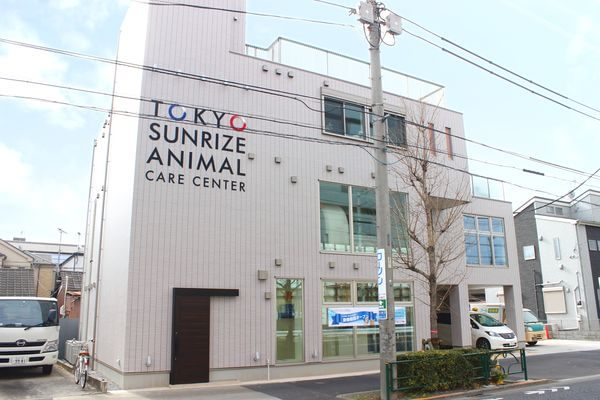 健康・フードなどの相談にも乗ってもらえる