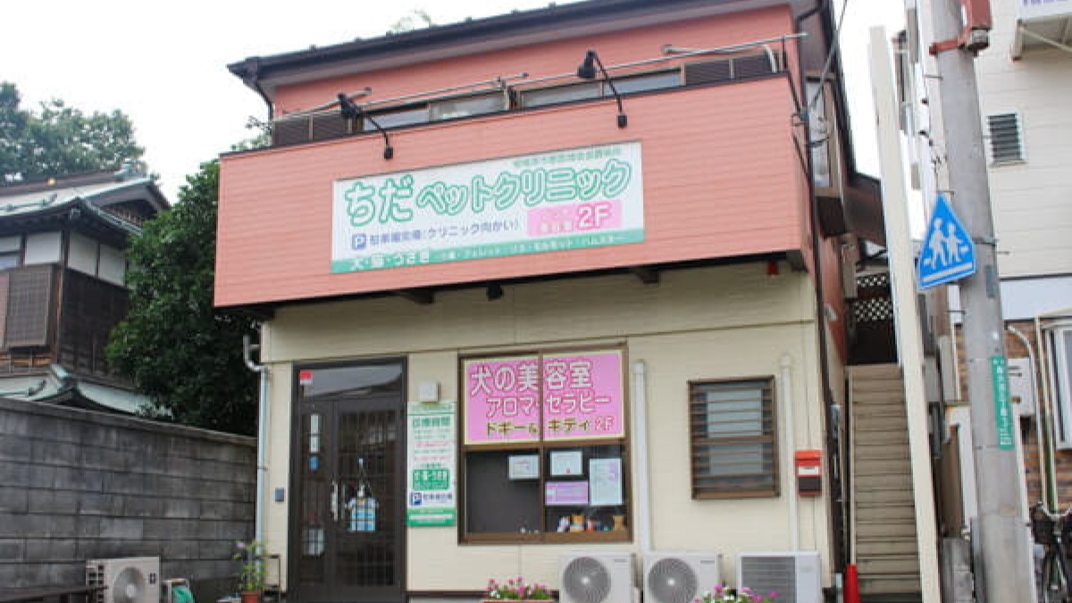 ちだペットクリニックスタッフ