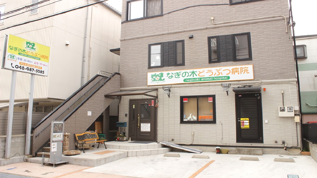 画像説明