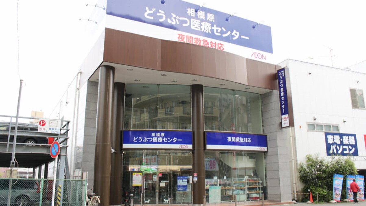 相模原どうぶつ医療センタースタッフ