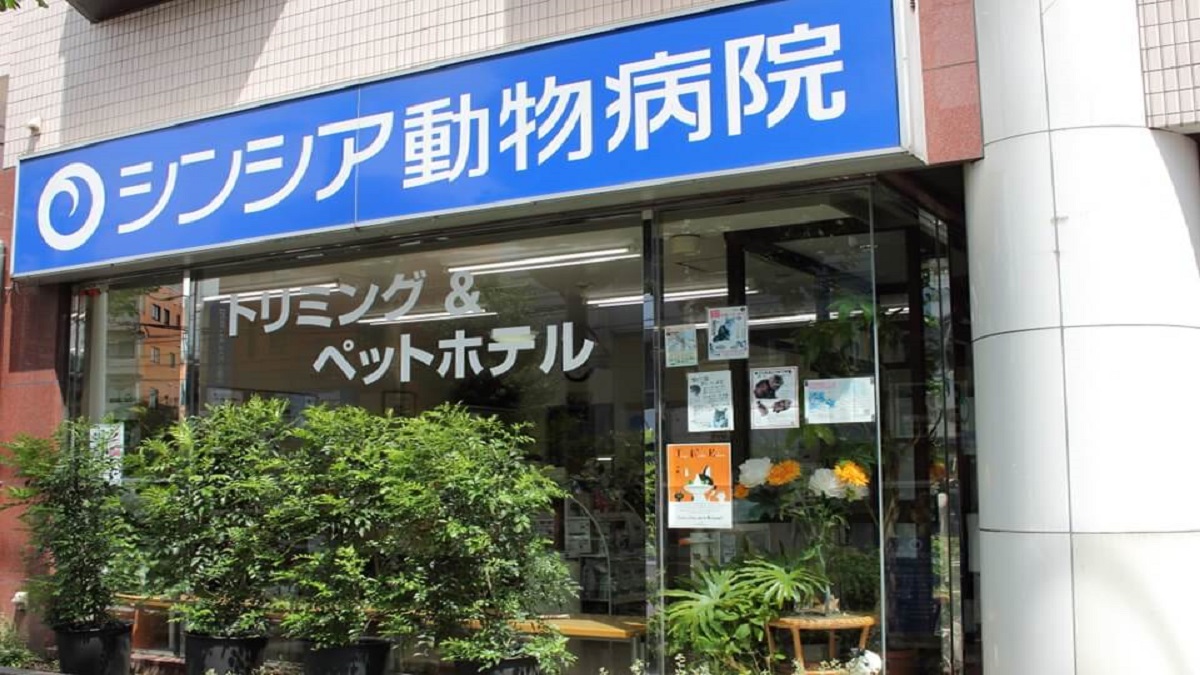 画像説明