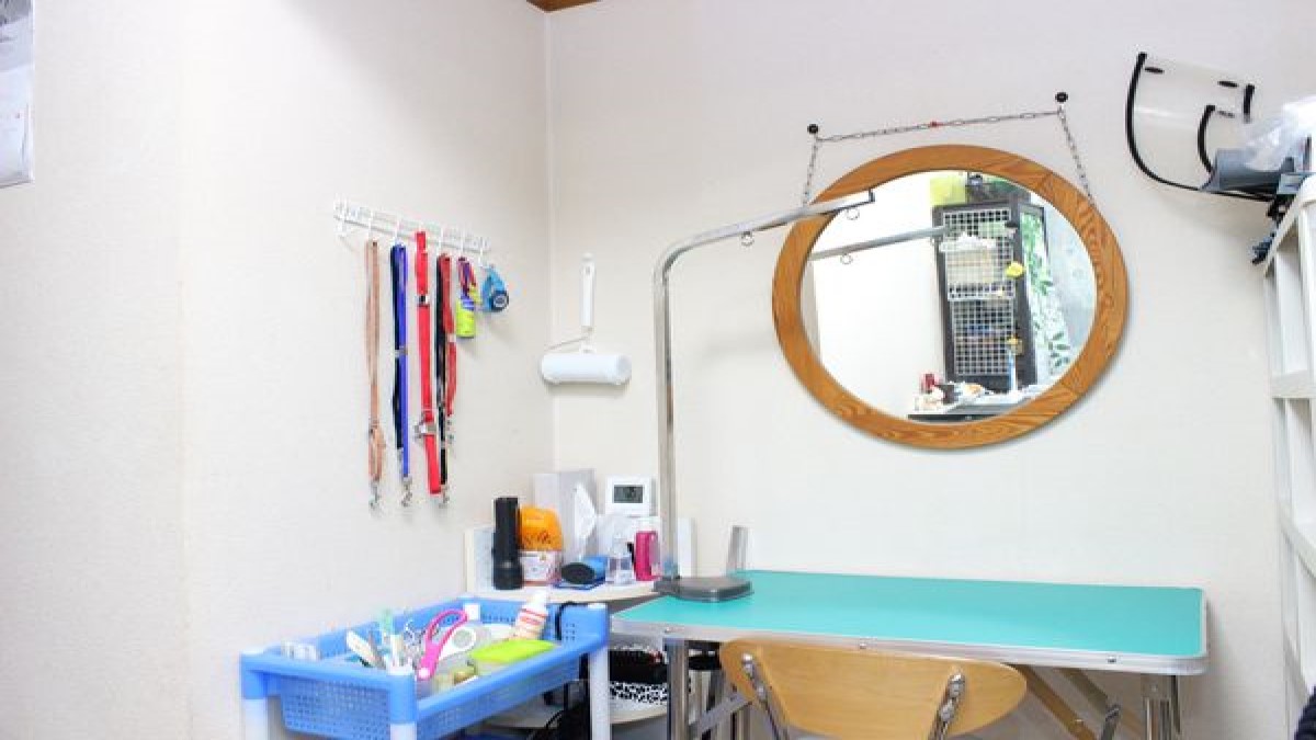 Dog Salon JOY