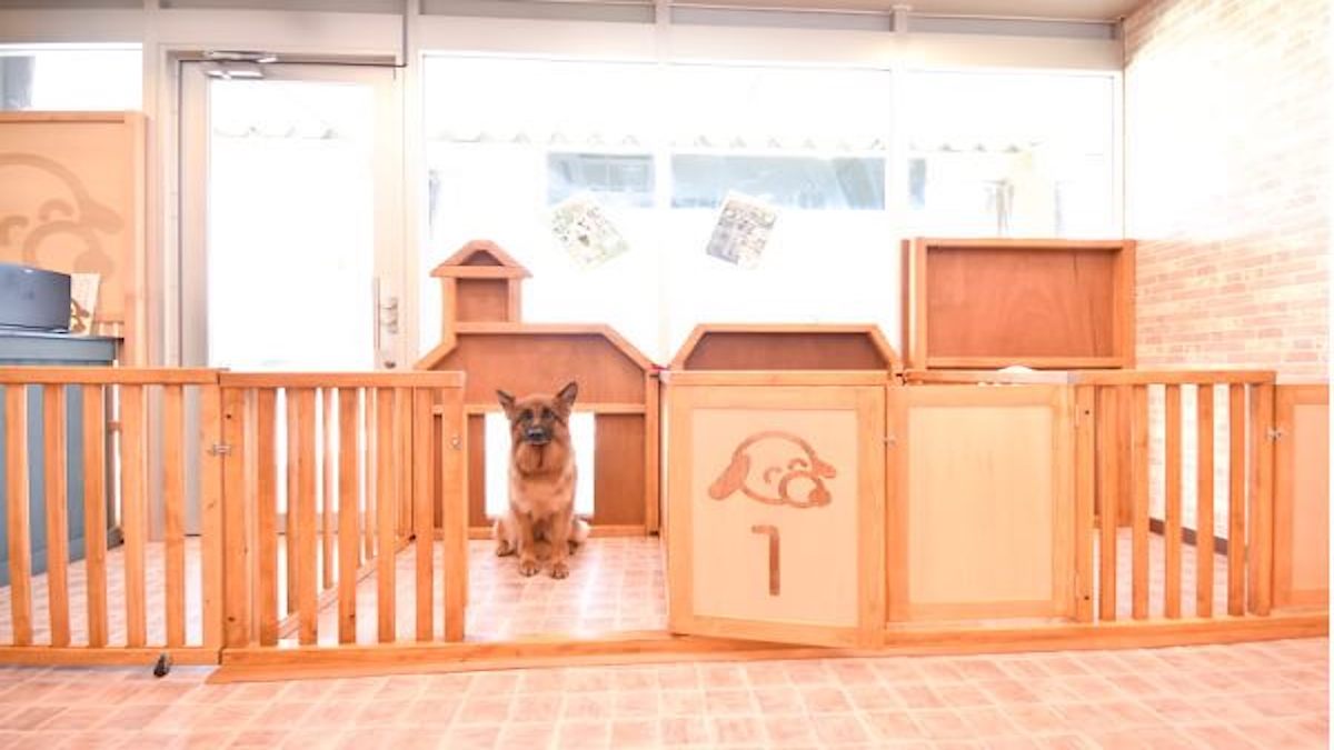 愛犬美容室クンクン イオンタウン津河芸店