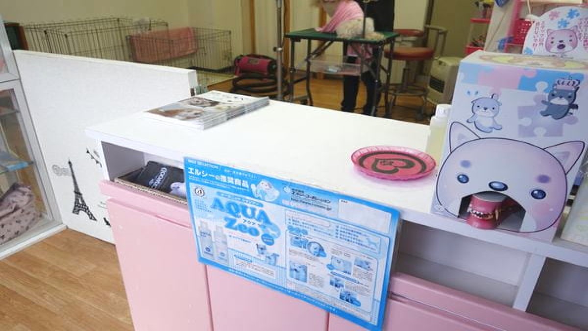 おしゃれトリミングRibbon 金沢泉野店