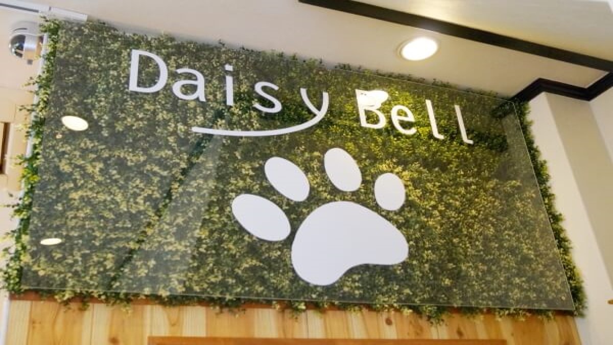 ドッグサロン&ホテル Daisy Bell