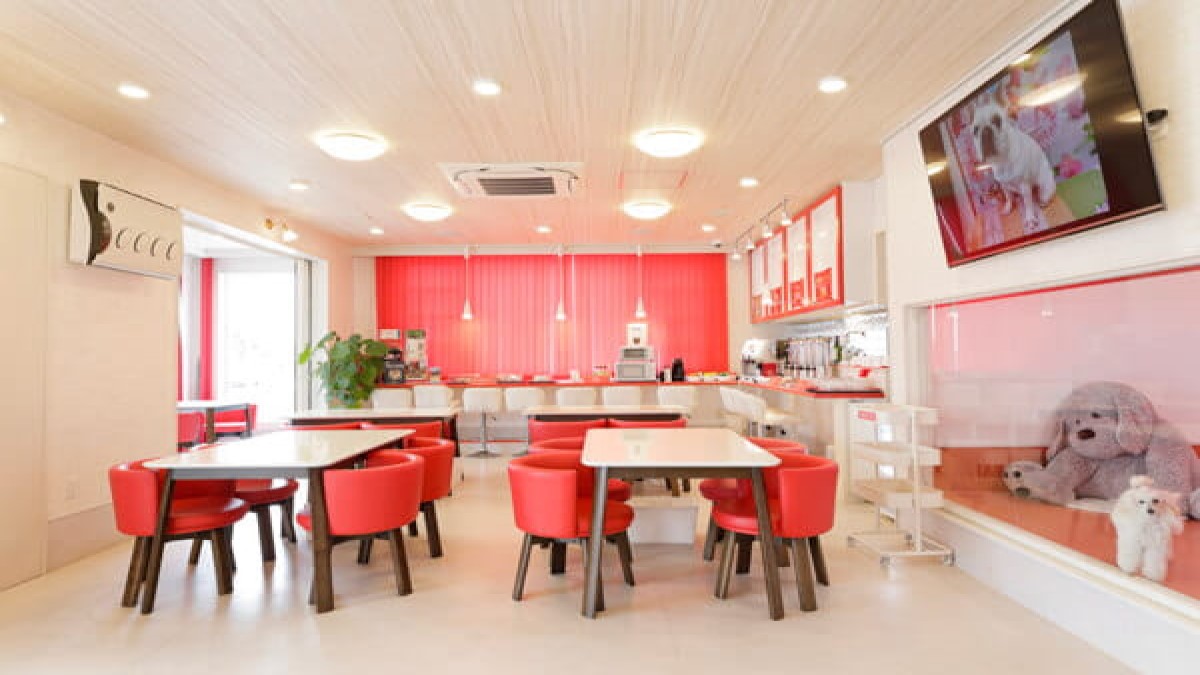 Eathetic health&beauty for Dogs MissLacy つくば
